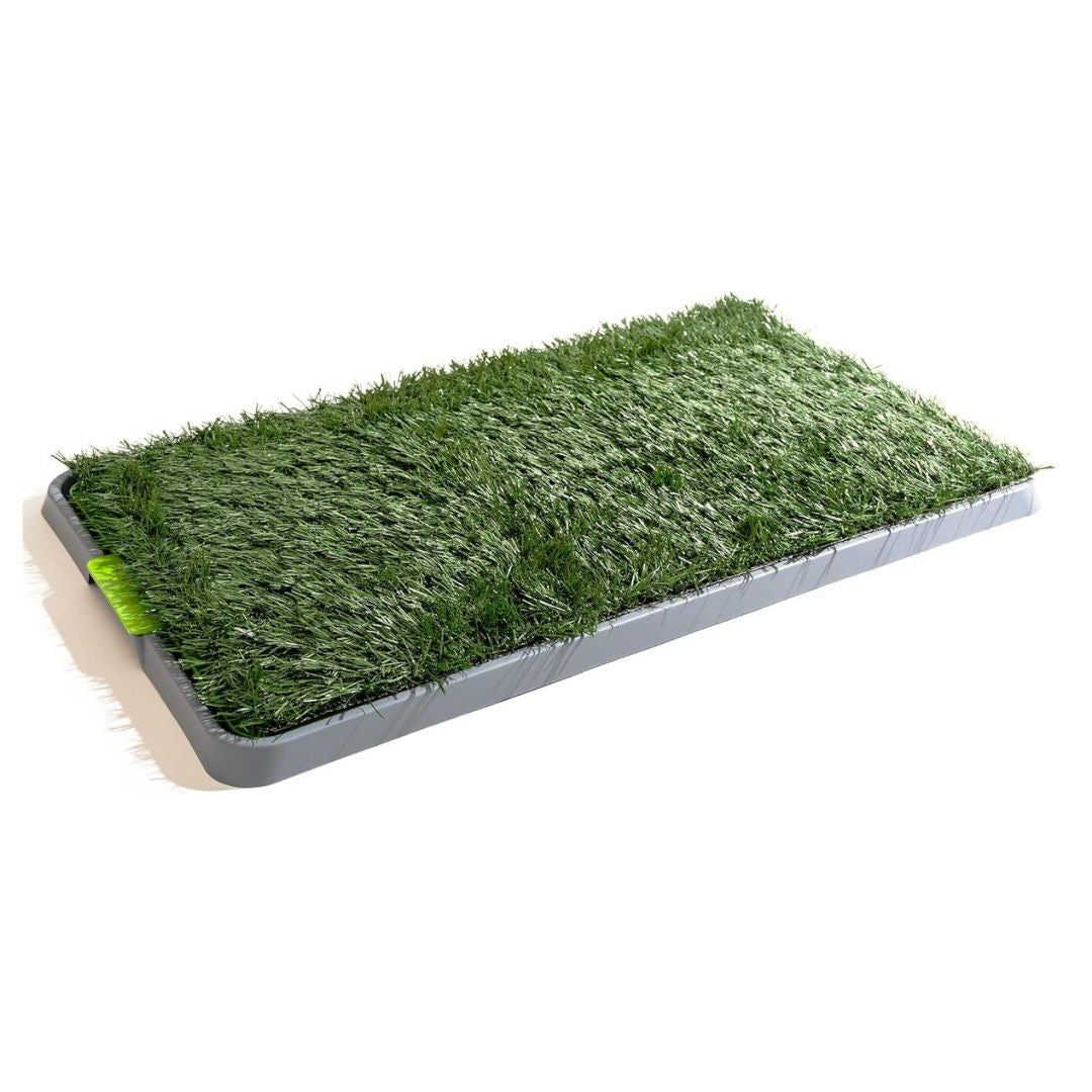 ¡NUEVO PRODUCTO! Pasto Sintético para Perros con Bandeja, Ideal para Interiores o Patios - 43cm x 69cm