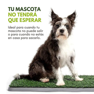 ¡NUEVO PRODUCTO! Pasto Sintético para Perros con Bandeja, Ideal para Interiores o Patios - 43cm x 69cm