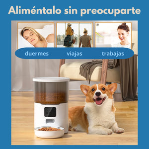 Nuevo Comedero Inteligente para Mascotas