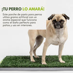 ¡NUEVO PRODUCTO! Pasto Sintético para Perros con Bandeja, Ideal para Interiores o Patios - 43cm x 69cm